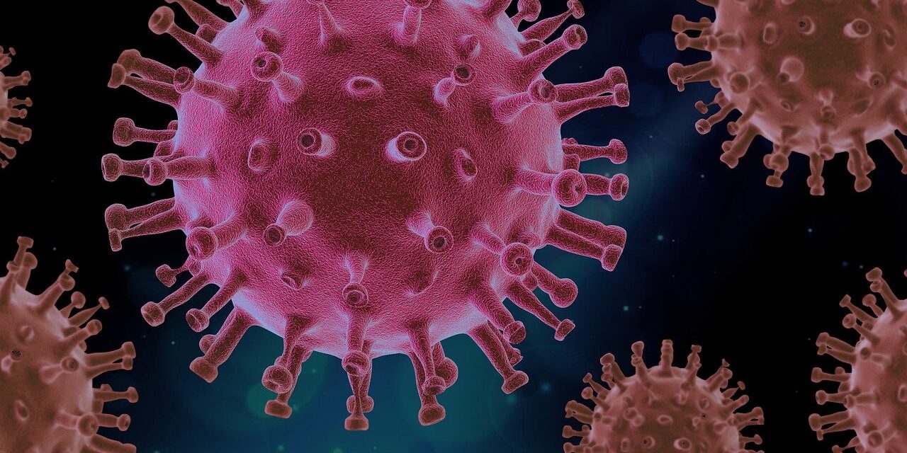 virus-4937553_1280
