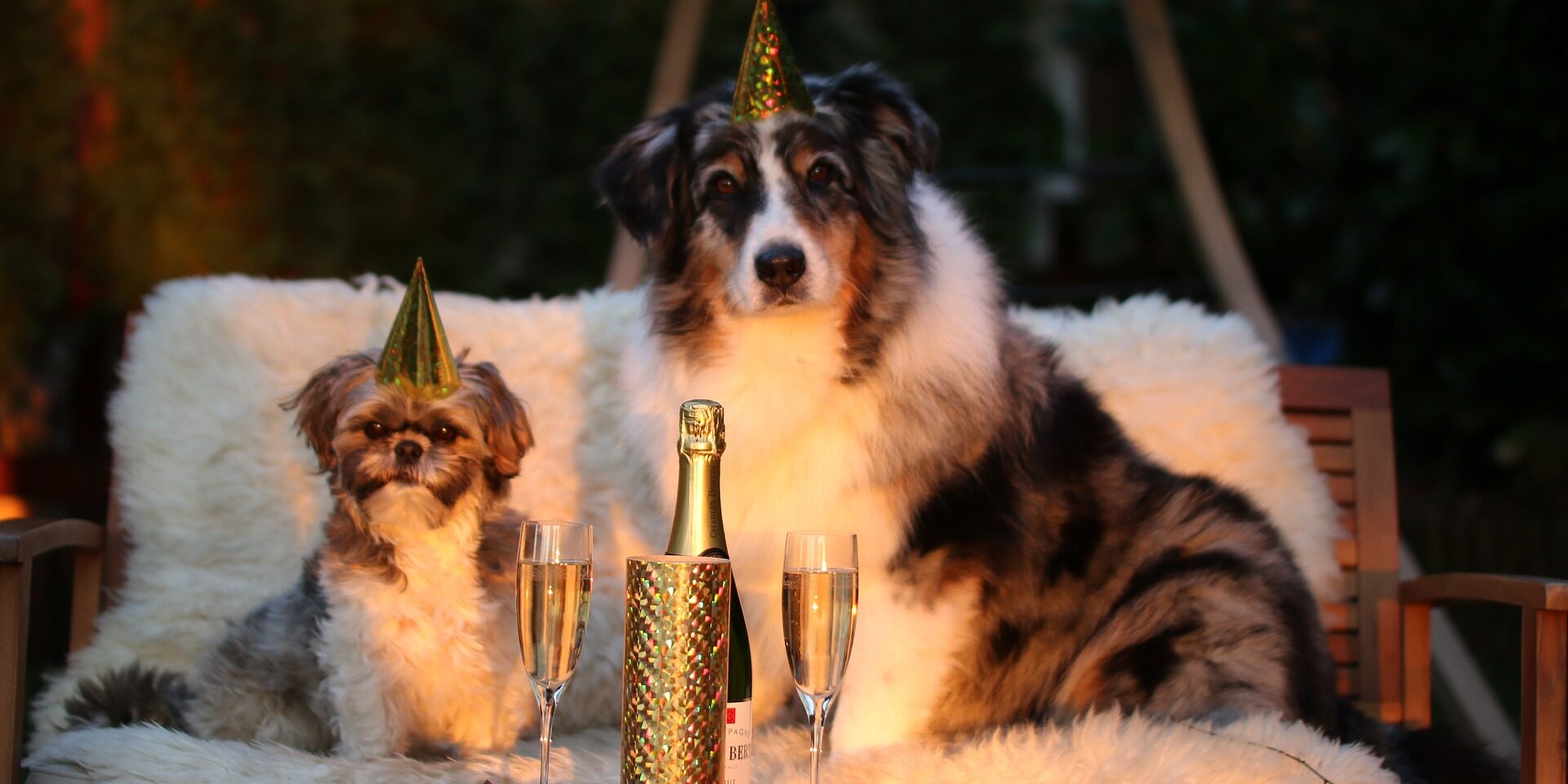 new-years-day-g4cd55290b_1920