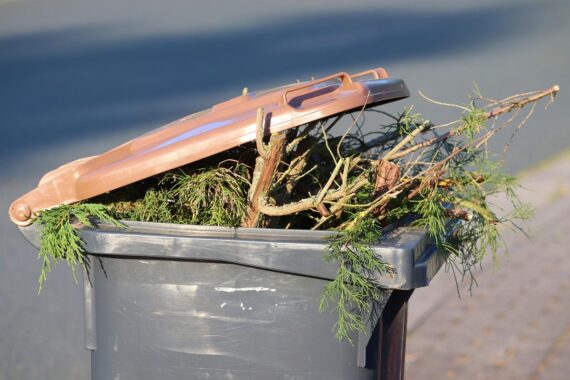 garbage-can-5398348_1280