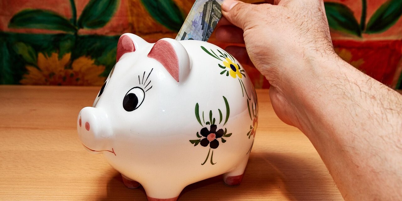 horstkoenemund-savings-3228759_1280